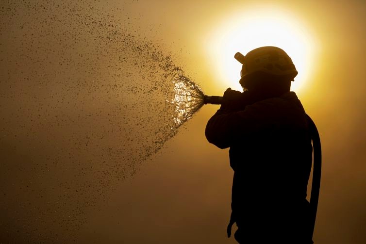 Porto Jofre (MT) 17/11/2023 – Brigadista do ICMBIO fazendo resfriamento do fogo, durante incêndio florestal que atige o Pantanal.
Foto: Joédson Alves/Agência Brasil