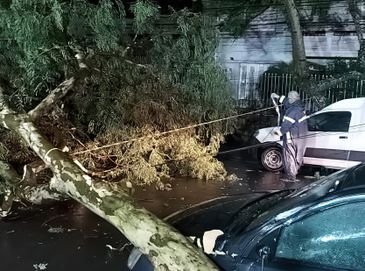 Bloqueio total: rua Conde dePorto Alegre, 544, por queda de árvore sobre a via e veículo. Foto: Prefeitura POA/X