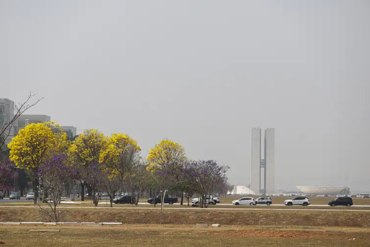 Brasília (DF) 26/08/2024- Brasília amanhece encoberta por fumaça de queimadas.
Foto: Joédson Alves/Agência Brasil