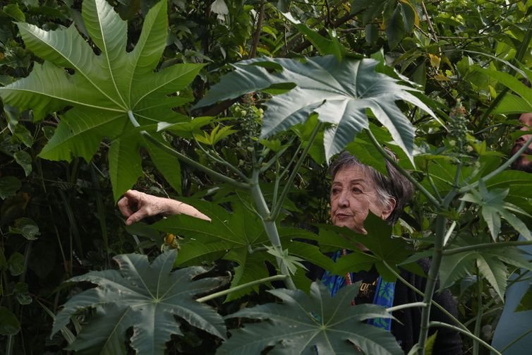 Paulo Pinto/Agência Brasil São Paulo (SP), 20/03/2025 - Cecília Pellegrini no Parque Municipal da Fonte com nascente na Travessa da Fonte, Vila Pirajussara. Foto: Paulo Pinto/Agência Brasil
