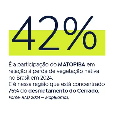 Brasília (DF), 01/11/2025 - Infográficos - especial Fronteira Cerrado. Arte Agência Brasil