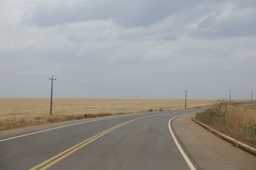 Balsas (MA), 09/10/2025 – Vista de fazendas de cultivo de soja ao longo da rodovia MA-007. Foto: Fernando Frazão/Agência Brasil
