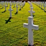 Os seres humanos e suas guerras sem fim