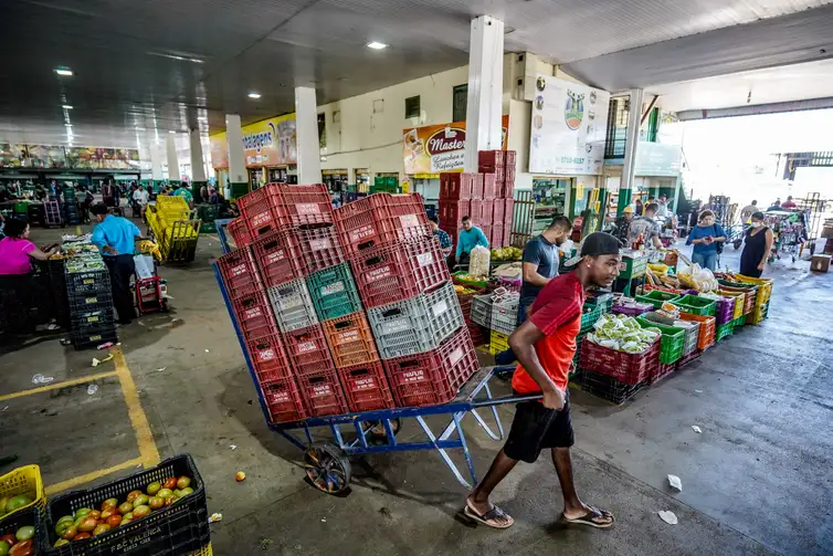 Rafa Neddermeyer/Agência Brasil Brasília-DF, 10.11.2023, A Centrais de Abastecimento do Distrito Federal, a CEASA-DF, tem movimento intenso de pessoas que buscam as melhores frutas, legumes e verduras. Foto: Rafa Neddermeyer/Agência Brasil